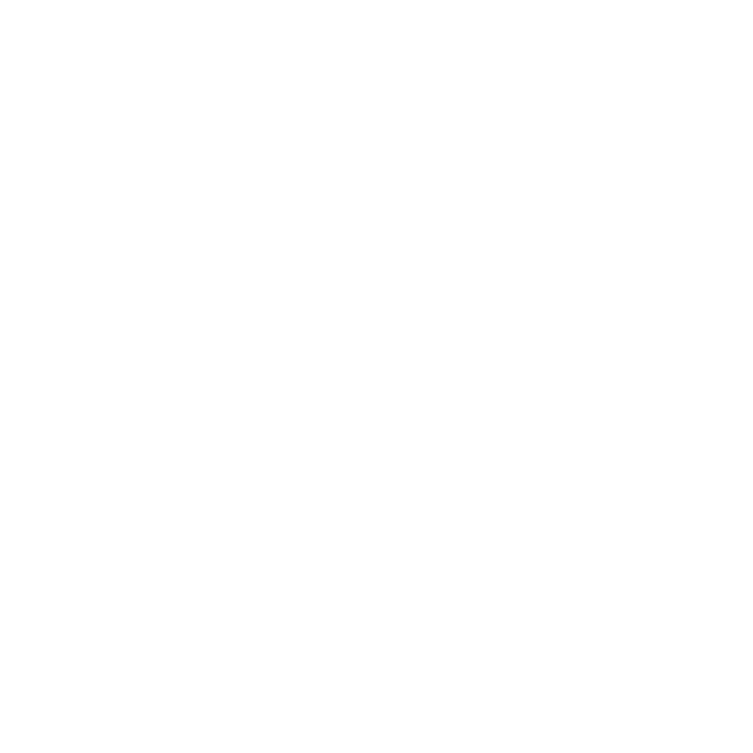 Viktoria River Villa logo valge